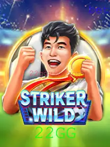 Descubra o Empolgante Mundo de StrikerWILD